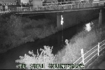 井野 のカメラ画像