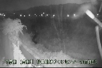 下高田 のカメラ画像