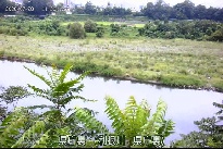 県庁裏 のカメラ画像
