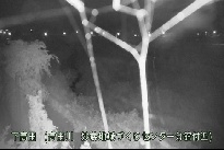 下高田 のカメラ画像
