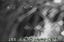 上里見 のカメラ画像