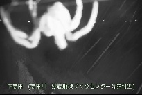 下高田 のカメラ画像
