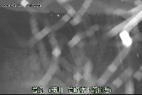 岩崎 のカメラ画像