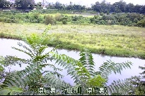 県庁裏 のカメラ画像
