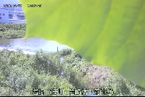 岩崎 のカメラ画像
