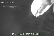 岩崎 のカメラ画像