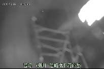 岩崎 のカメラ画像