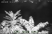県庁裏 のカメラ画像