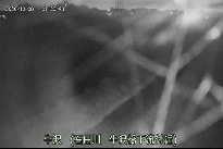 牛沢 のカメラ画像