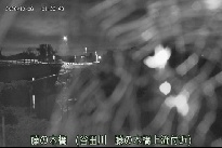 藤の木橋 のカメラ画像