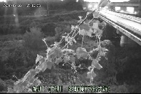 鮎川 のカメラ画像