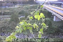 鮎川 のカメラ画像