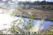 県庁裏 のカメラ画像